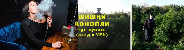 сатива Абдулино