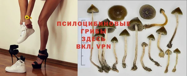 герыч Абаза