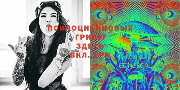 сатива Абдулино