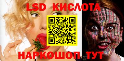 шишки Новокубанск