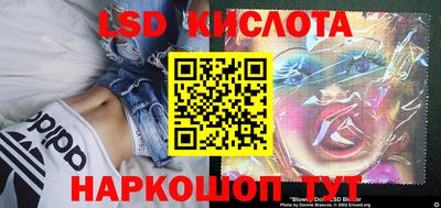 шишки Новокубанск