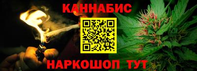 шишки Новокубанск