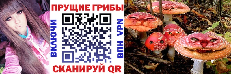 Галлюциногенные грибы Psilocybine cubensis  Торжок 