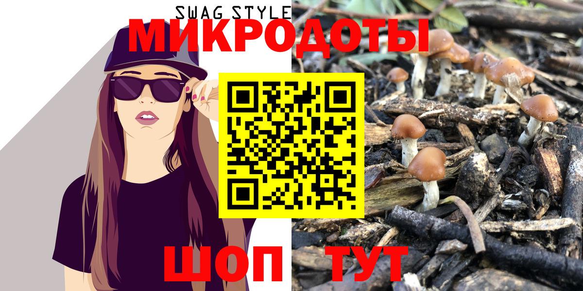 Псилоцибиновые грибы Psilocybine cubensis Торжок