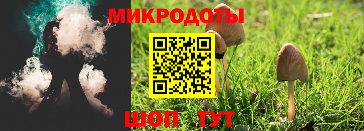 Псилоцибиновые грибы Psilocybe  Вход с VPN  Торжок 